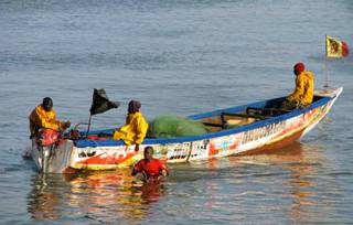 Deux pirogues arraisonnées pour pêche en zone interdite