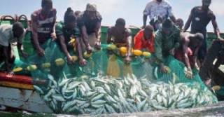 Pêche à Kafountine : guerre contre les engins prohibés.