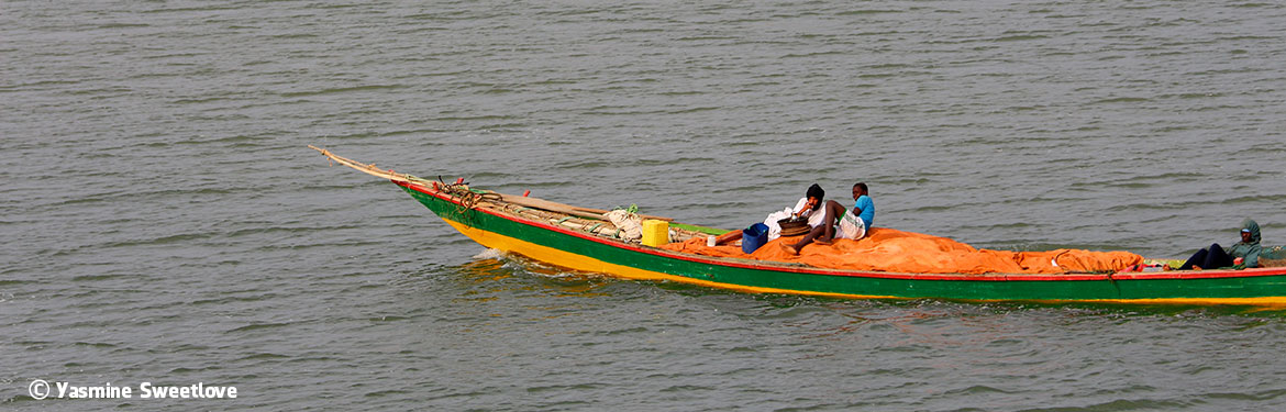 Ikagel, Exotic Sea Food